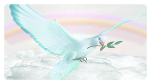 DSC700 116 D WT Dove Clouds White